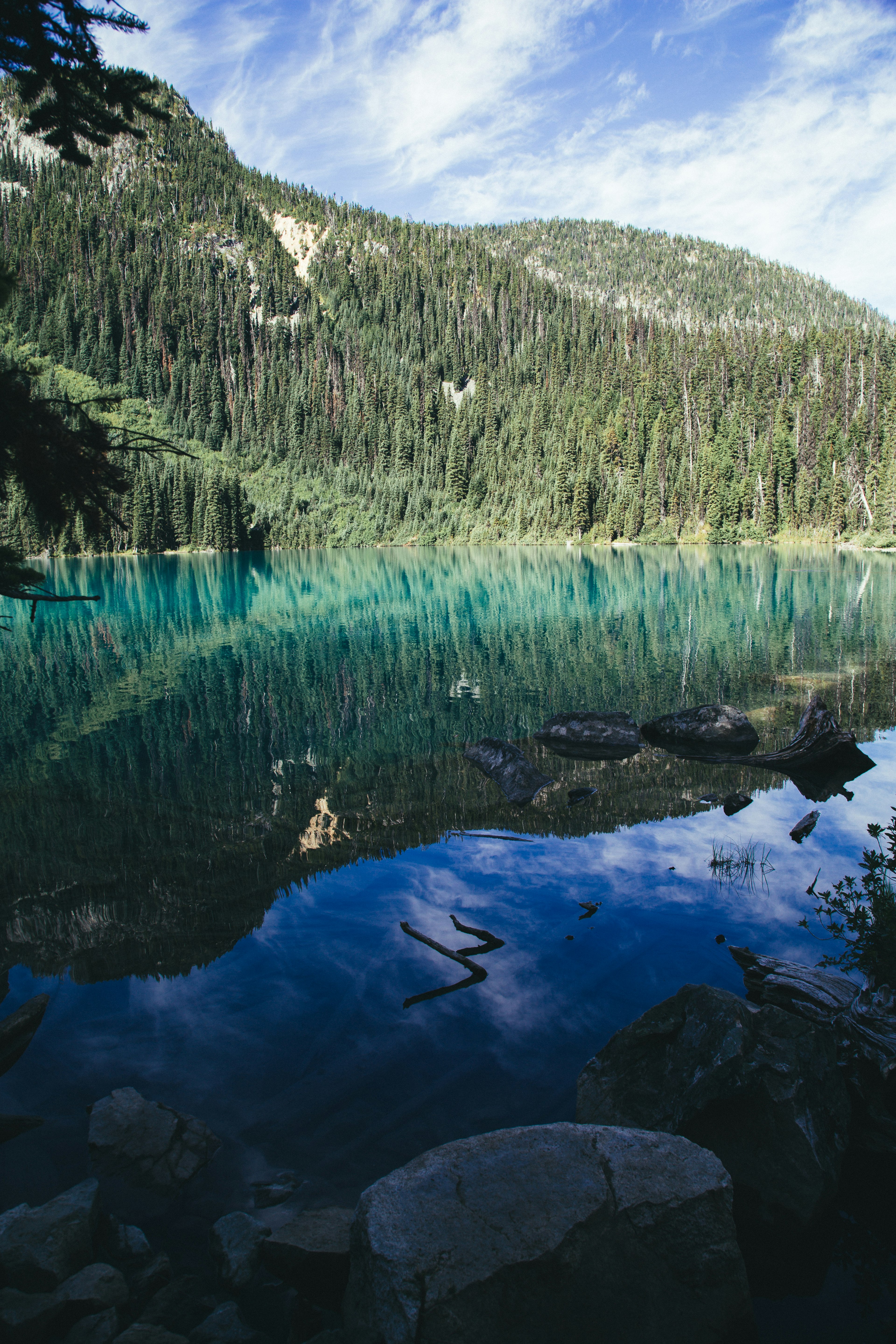 nature photography of pine trees surrounding body of water during daytime